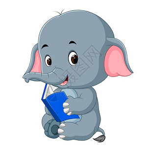 大象看书苹果版怎么下载苹果手机怎么下载图书到书库-第1张图片-亚星国际官网