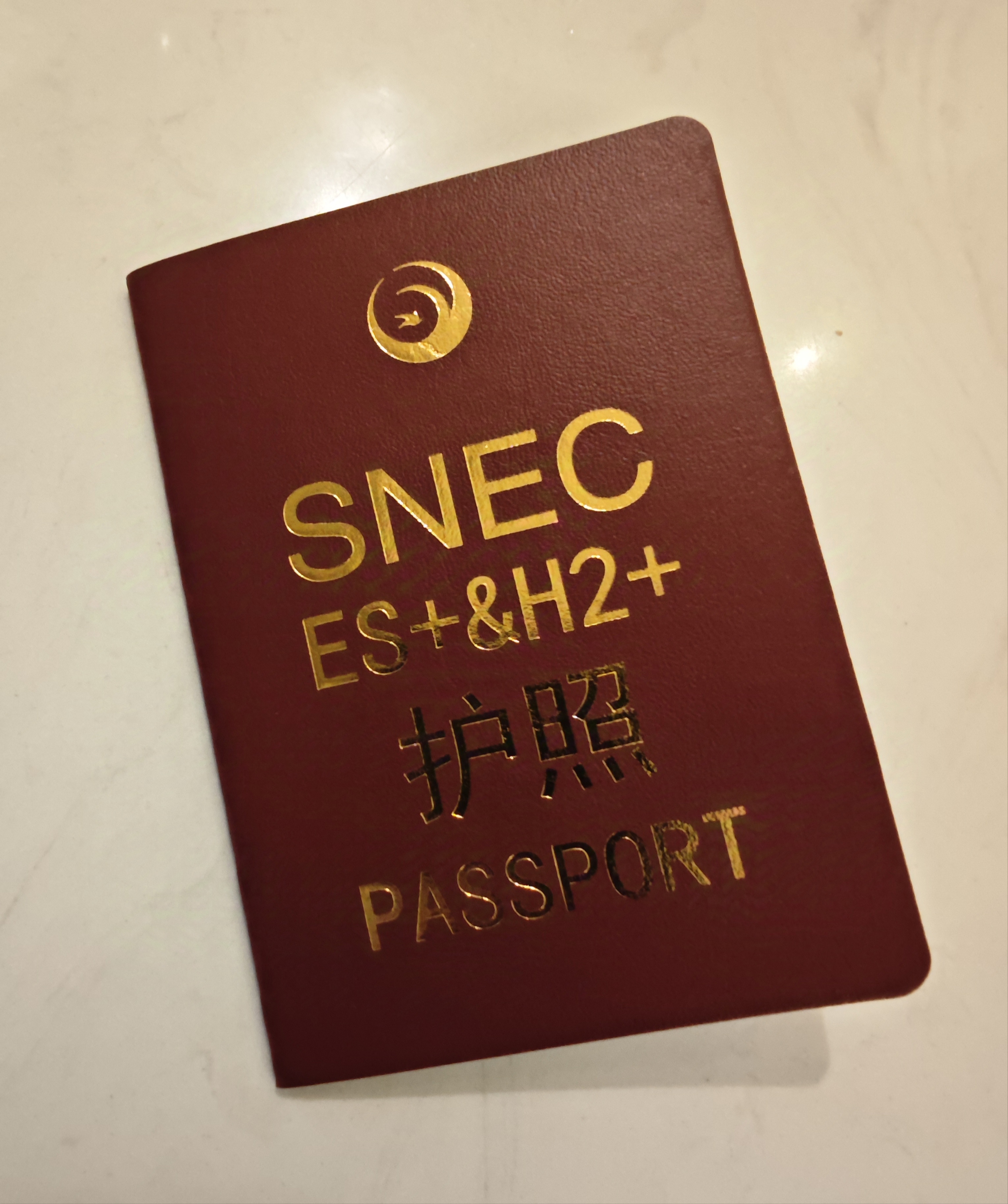 护照在线生成器手机版在线国际各国护照生成器-第2张图片-太平洋在线下载