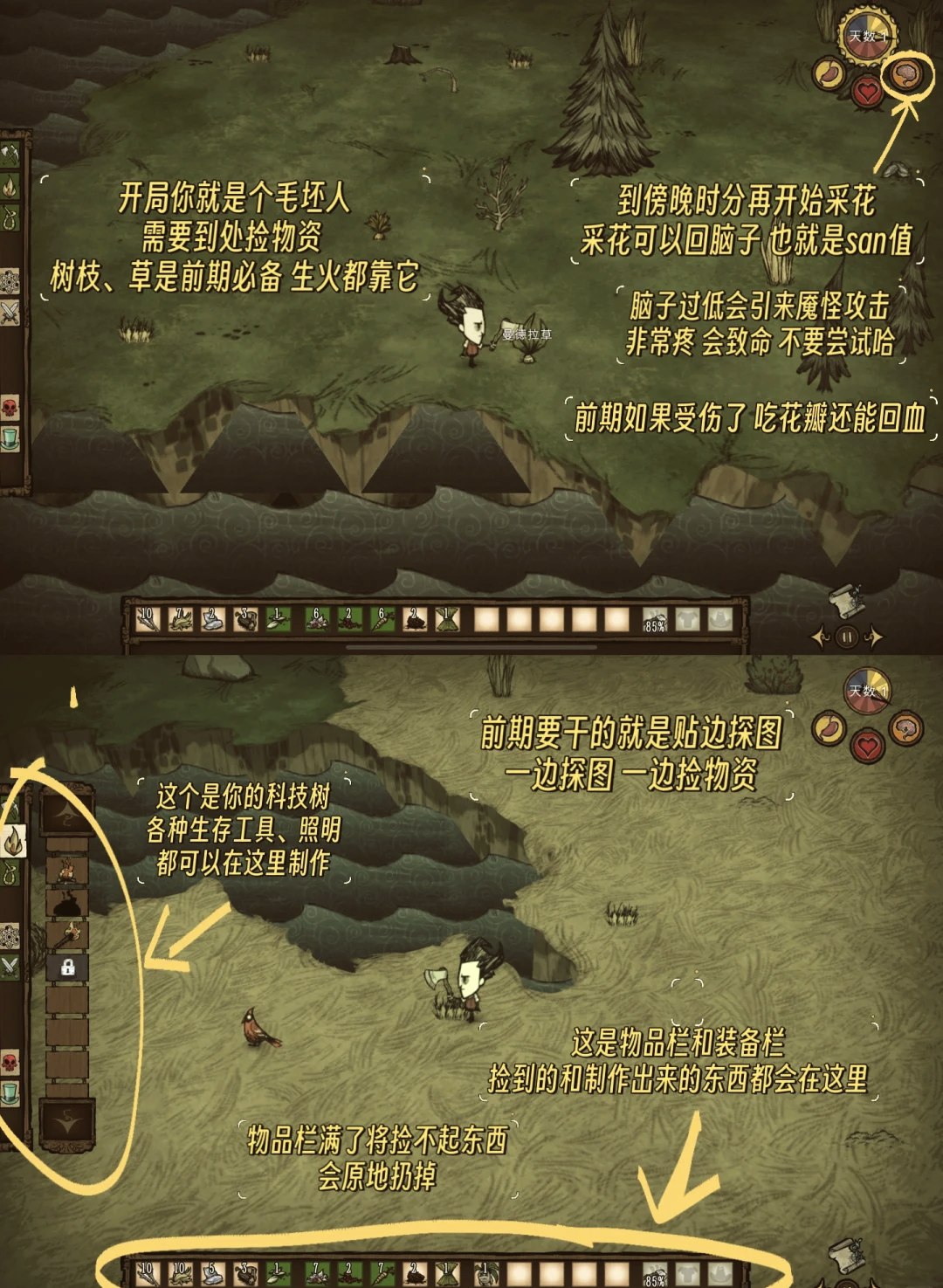 饥荒手机版地图饥荒联机版完整地图