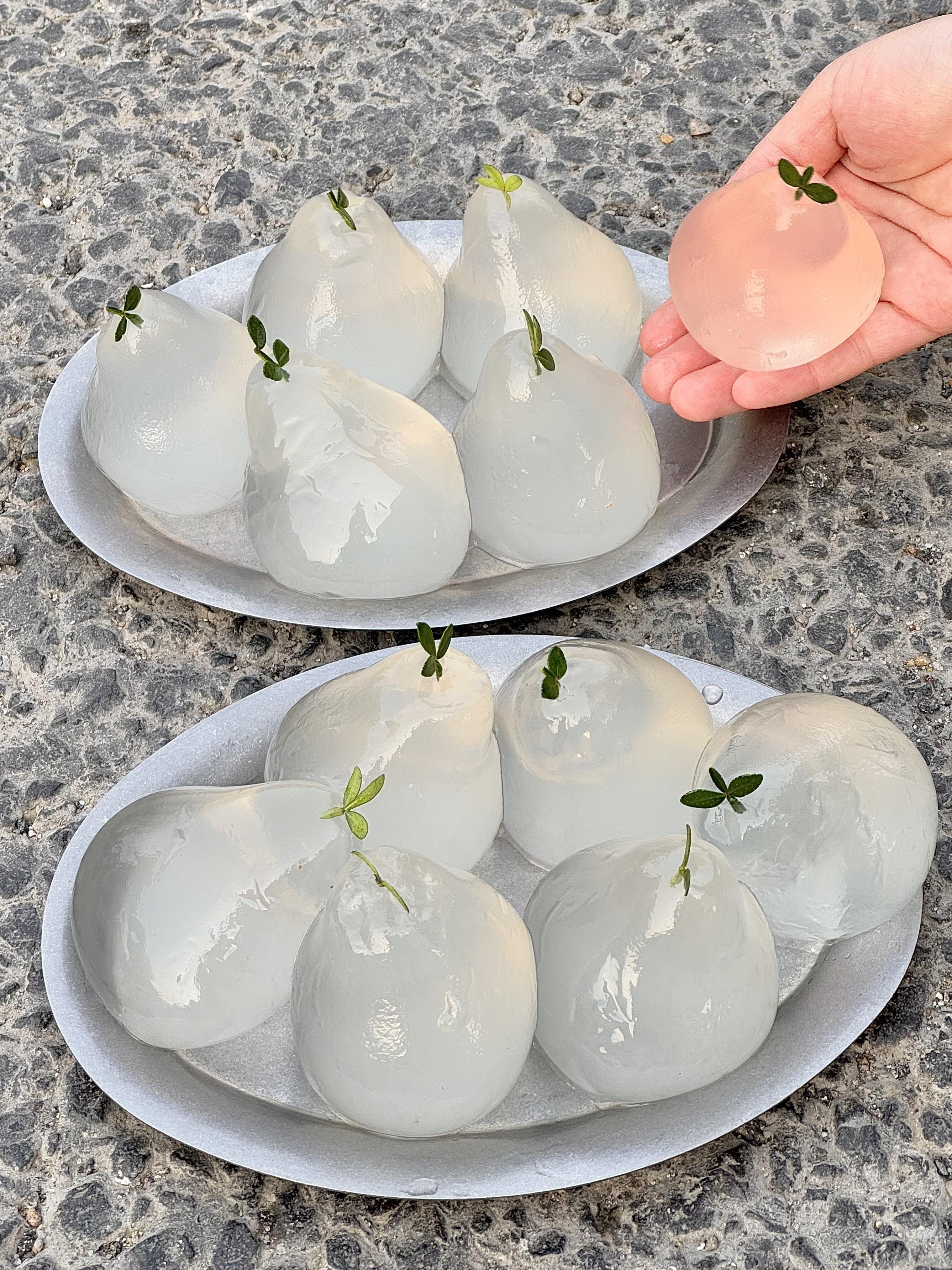 饭团小灯泡苹果版饭团阅读苹果版下载