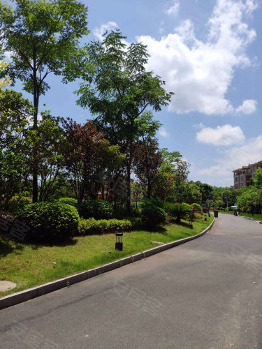 名门国际手机版名门国际在线登录-第2张图片-太平洋在线下载 名门国际手机版名门国际在线登录-第2张图片-太平洋在线下载